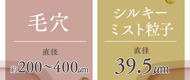 毛穴直径約200〜400μm、シルキーミスト粒子直径39.5μm