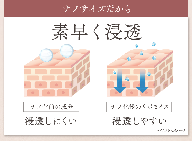 ナノサイズだから素早く浸透