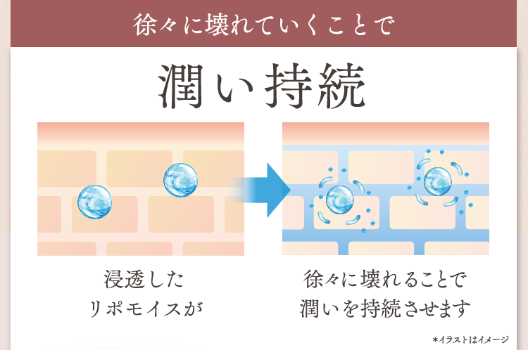 徐々に壊れていくことで潤い持続