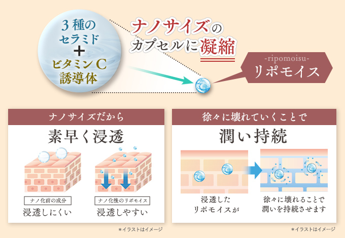 独自の美容成分「Lipomois（リポモイス）」
