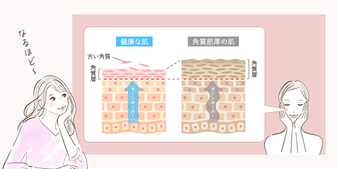 ターンオーバーについて